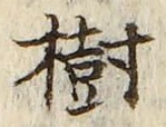 “樹”字