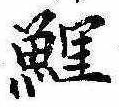 鯉の位置