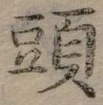 頭 위치 확인됨