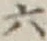Character 六