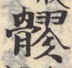 髎 위치 확인됨