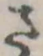 Đã định vị さ