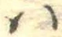 𛂞 위치 확인됨