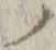 字ノ