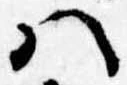 Đã định vị 𛂞