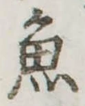 魚 위치 확인됨