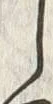 𡨸し