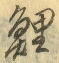 鯉の位置