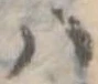 𛂞の位置