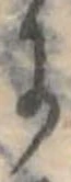 位置 確認된 𛂌