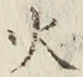 글자 火
