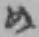 字め