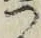 文字 つ