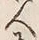 字人