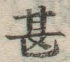 글자 甚
