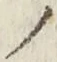 字ノ