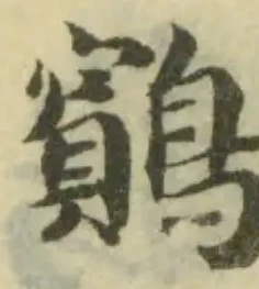 𪇕の位置