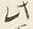 Character 此