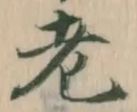 𡨸老