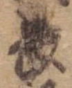 Đã định vị 長