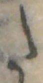 Đã định vị 𛁠