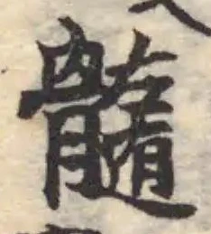 髄 위치 확인됨