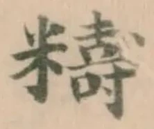 䊭の位置