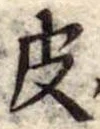 位置定マレル皮