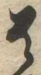 貴 위치 확인됨