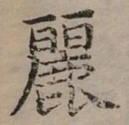 已定位麗