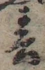 春 위치 확인됨