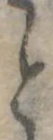 位置 確認된 と