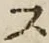 字ス