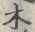 位置 確認된 木
