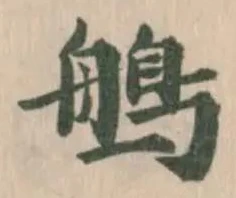 鵃 위치 확인됨