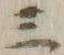 文字三