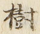 글자 樹