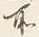 Chữ 所