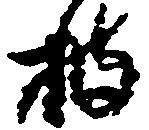 披の位置