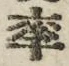 Chữ 率