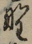 已定位野