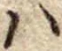 𛂞の位置