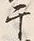 글자 干