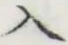 文字入