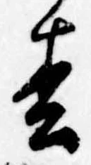 㐌定位松