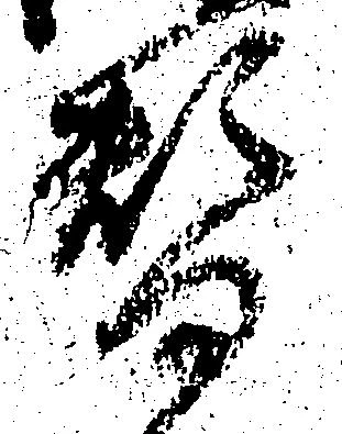 替 위치 확인됨