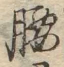 腰 위치 확인됨