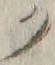 “ク”字
