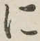 글자 に