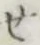 글자 せ